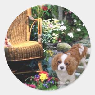 Cavalier King Charles Spaniel Art Runder Aufkleber