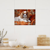 Cavalier King Charles Spaniel auf dem Sofa Poster (Küche)