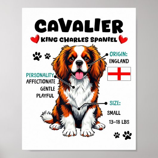 Cavalier King Charles Spaniel Besitzer Lustiger Hu Poster (Vorne)