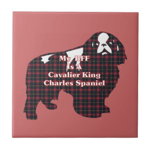 Cavalier King Charles Spaniel BESTE FREUNDIN Fliese