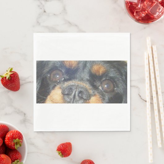 cavalier king charles spaniel black tan augen serviette (Beispiel)