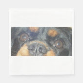 cavalier king charles spaniel black tan augen serviette (Vorderseite)