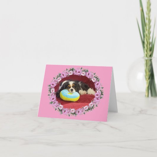 Cavalier King Charles Spaniel Blank Note Card Karte (Vorderseite)