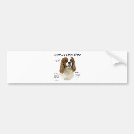 Cavalier King Charles Spaniel (Blenheim) Geschicht Autoaufkleber (Vorne)