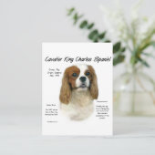 Cavalier King Charles Spaniel (Blenheim) Geschicht Postkarte (Stehend Vorderseite)