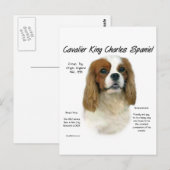 Cavalier King Charles Spaniel (Blenheim) Geschicht Postkarte (Vorne/Hinten)