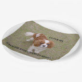Cavalier-king-charles-spaniel blenheim Liebe w pic Pappteller (Schrägansicht)