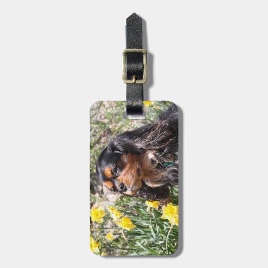 Cavalier King Charles Spaniel Brother & Sister Gepäckanhänger (Vorderseite vertikal)