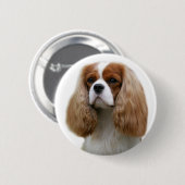 Cavalier King Charles Spaniel Button (Vorne & Hinten)