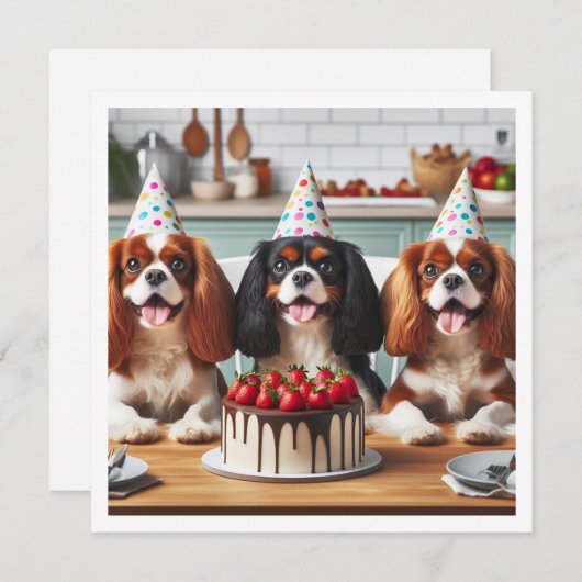 Cavalier King Charles Spaniel card, Cavalier Einladung (Vorne/Hinten)
