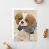 Cavalier King Charles Spaniel card Mitteilungskarte (Vorderseite/Rückseite Beispiel)