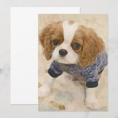 Cavalier King Charles Spaniel card Mitteilungskarte (Vorne/Hinten)