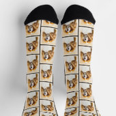 Cavalier King Charles Spaniel Cav Dog Art Malerei Socken (Oben)