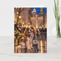 Cavalier King Charles Spaniel Chanukka NYC