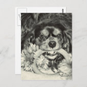 Cavalier King Charles Spaniel Chew Bone Postkarte (Vorne/Hinten)