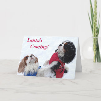 Cavalier King Charles Spaniel Christmas Card Feiertagskarte