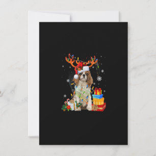 Cavalier King Charles Spaniel Christmas Reindeer S Einladung