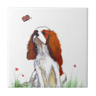 Cavalier King Charles Spaniel CKC Fliese