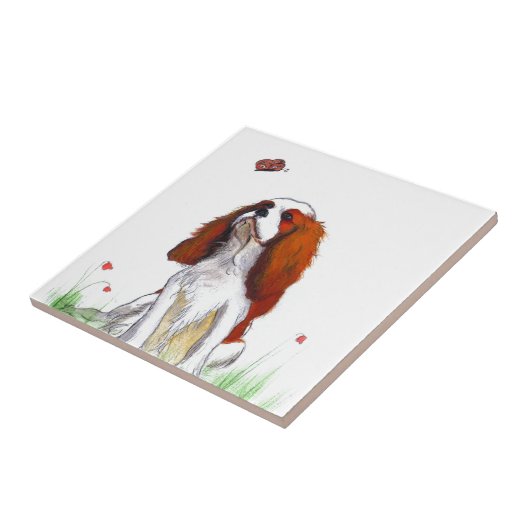 Cavalier King Charles Spaniel CKC Fliese (Seite)