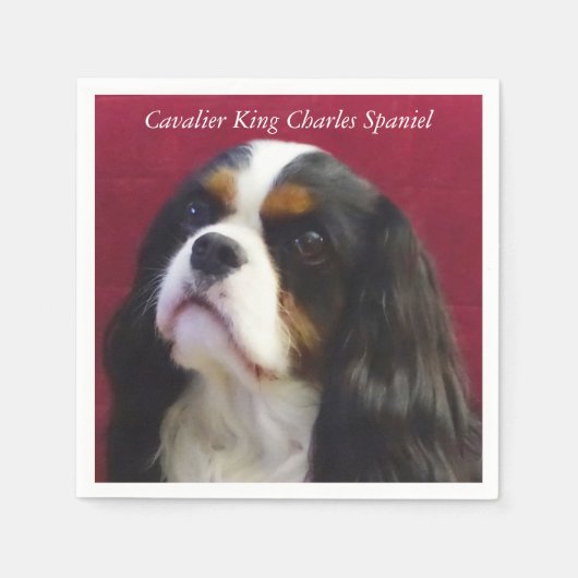 Cavalier King Charles Spaniel Cocktail Napkins Serviette (Vorderseite)