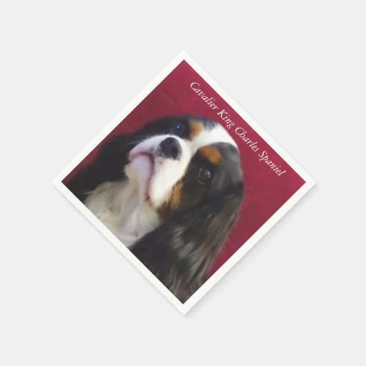 Cavalier King Charles Spaniel Cocktail Napkins Serviette (Ecke)