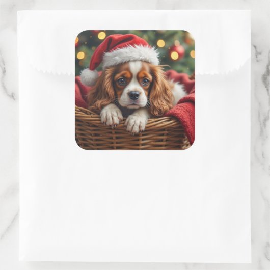 Cavalier King Charles Spaniel Cozy Basket Quadratischer Aufkleber (Tasche)