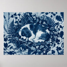 Cavalier King Charles Spaniel Cyanotypie Botanisch Poster