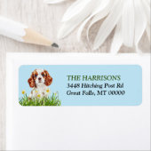 Cavalier King Charles Spaniel Daffodil Garden (Insitu)