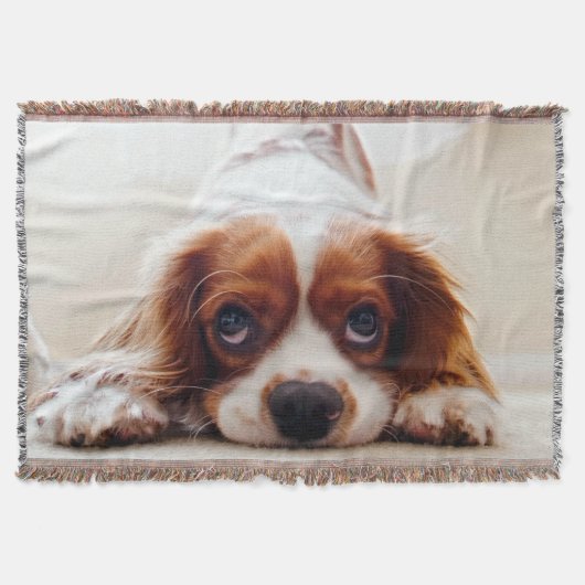 Cavalier King Charles Spaniel Decke (Vorderseite)