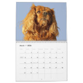 Cavalier King Charles Spaniel Dog #2 Kalender (Mär 2026)