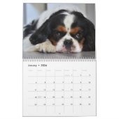 Cavalier King Charles Spaniel Dog #2 Kalender (Jan 2026)