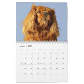 Cavalier King Charles Spaniel Dog #2 Kalender (Mär 2027)