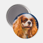 Cavalier King Charles Spaniel Dog Art - Chelsea Magnet (Vorderseite/Rückseite)