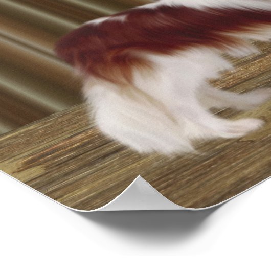 Cavalier King Charles Spaniel Dog Art Poster (Ecke)