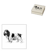 Cavalier King Charles Spaniel Dog Breed Gummistempel (Stempel)