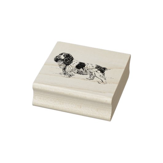 Cavalier King Charles Spaniel Dog Breed Gummistempel (Stempel)