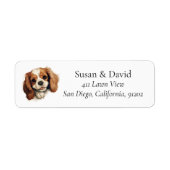 Cavalier King Charles Spaniel Dog Breed Pet Lovers (Vorne)