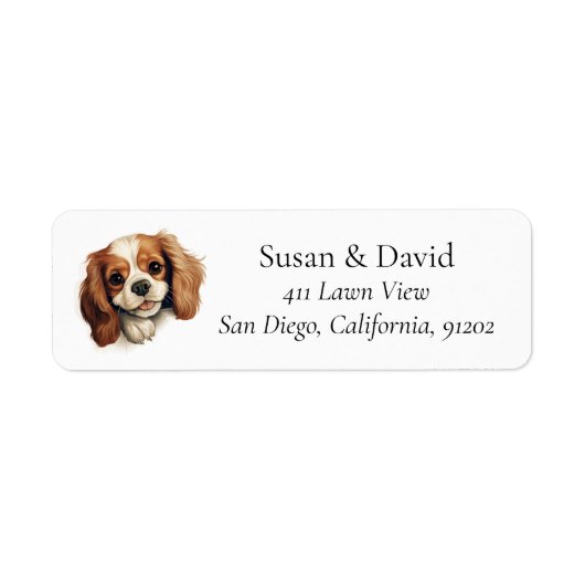 Cavalier King Charles Spaniel Dog Breed Pet Lovers (Vorne)