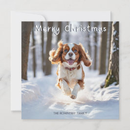 Cavalier King Charles Spaniel Dog Frohe Weihnachte Feiertagskarte