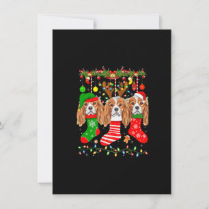 Cavalier King Charles Spaniel Dog in Christmas Soc Einladung