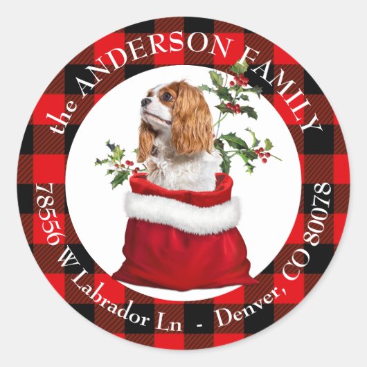 Cavalier King Charles Spaniel Dog Kariert Frame Runder Aufkleber (Vorderseite)