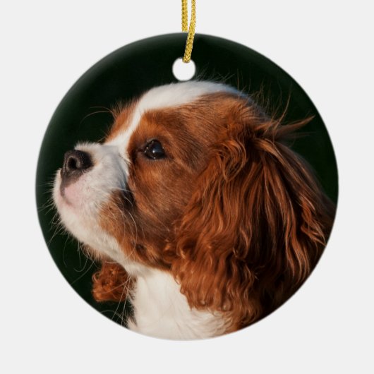 Cavalier King Charles Spaniel Dog Keramik Ornament (Vorne)