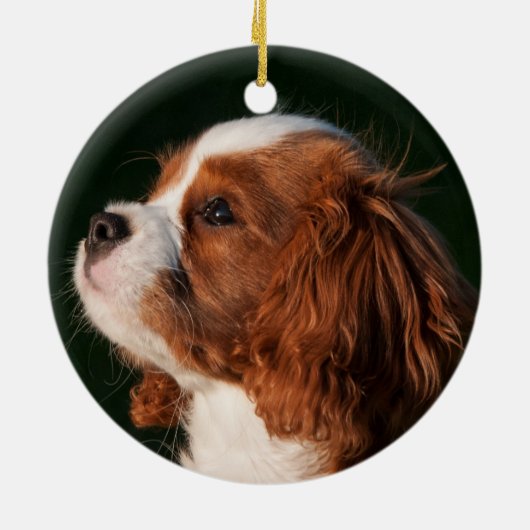 Cavalier King Charles Spaniel Dog Keramik Ornament (Hinten)