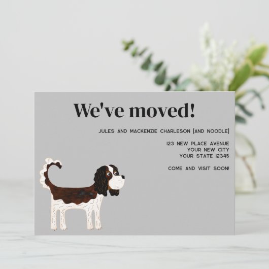 Cavalier King Charles Spaniel Dog Moving New Zuhau Ankündigung (Stehend Vorderseite)