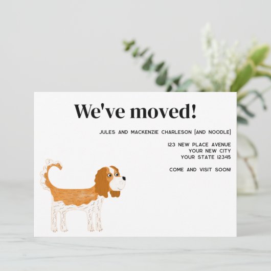 Cavalier King Charles Spaniel Dog Moving New Zuhau Ankündigung (Stehend Vorderseite)