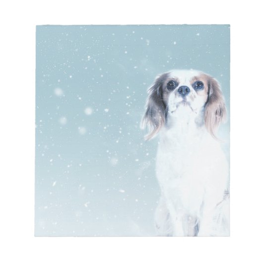 Cavalier King Charles Spaniel Dog Notizblock (Vorderseite)