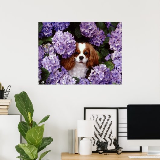 Cavalier King Charles Spaniel Dog Poster (Heimbüro)