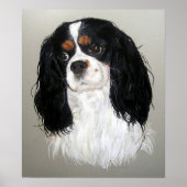 Cavalier King Charles Spaniel Dog Poster Print (Vorne)