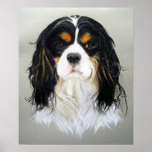 Cavalier King Charles Spaniel Dog Poster Print (Vorne)
