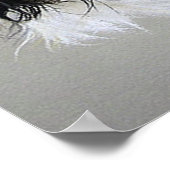 Cavalier King Charles Spaniel Dog Poster Print (Ecke)